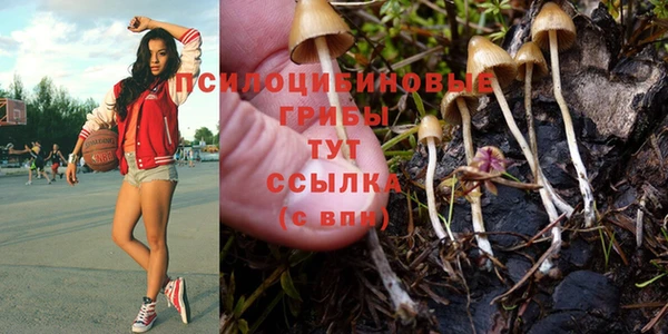 соль ск Балабаново