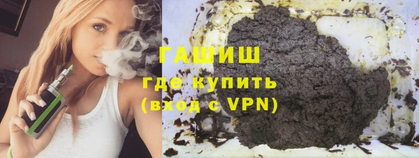 шишки Надым