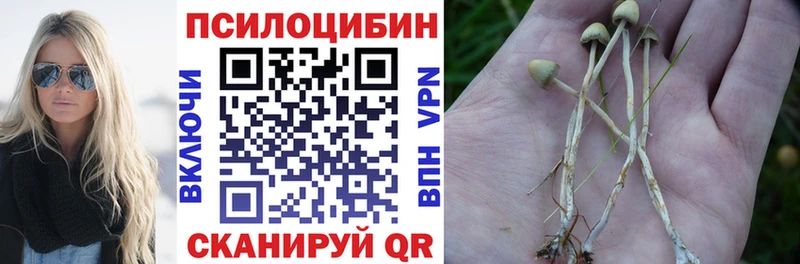 Галлюциногенные грибы GOLDEN TEACHER  MEGA зеркало  Шебекино  продажа наркотиков 